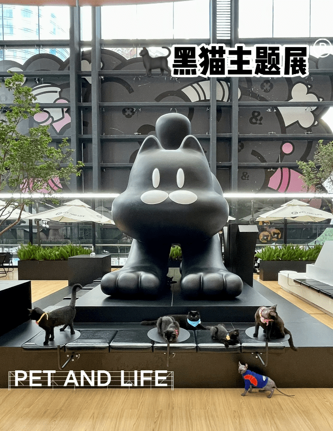 位於1234Space商場四樓的PET AND LIFE 人寵社交集合店是貓奴天堂。（圖片來源：小紅書）